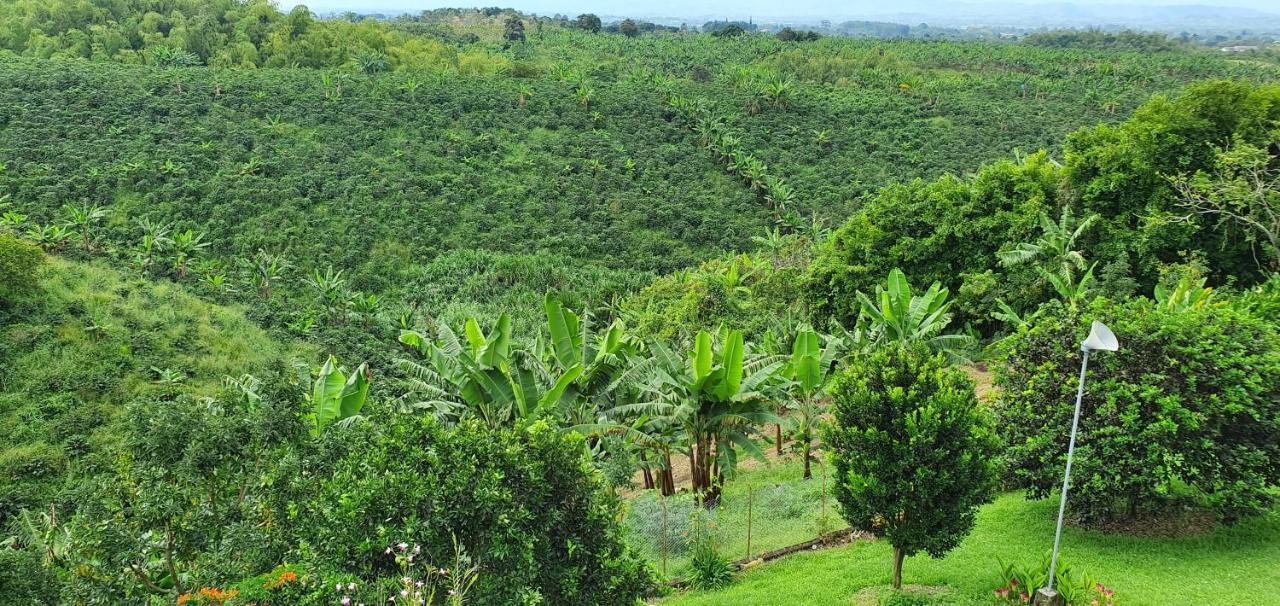 Finca Bellavista Перейра Экстерьер фото
